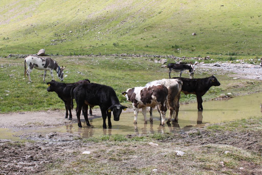 Hotel Dependance Sporting Livigno Zewnętrze zdjęcie